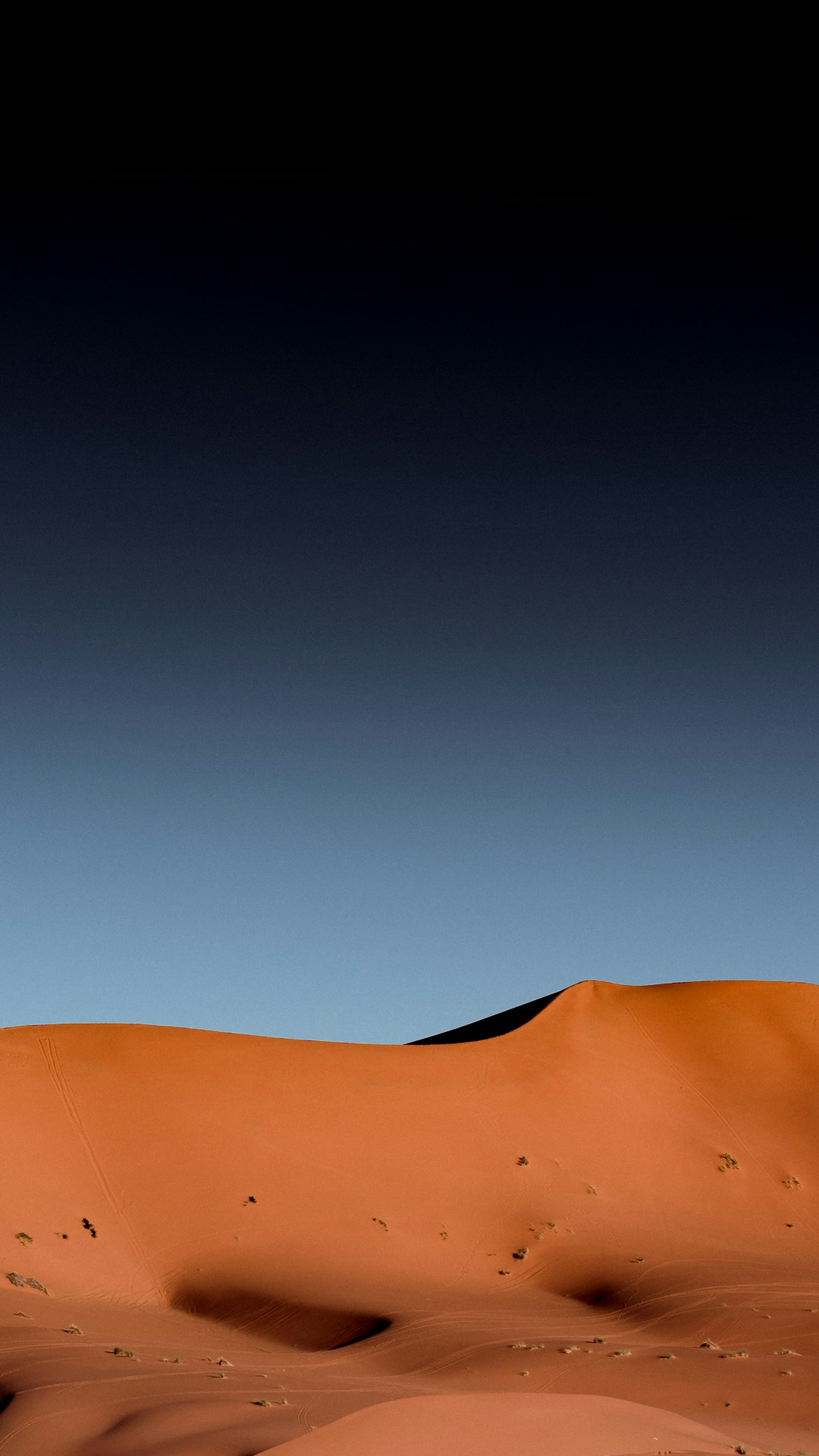 رمال الصحراء
